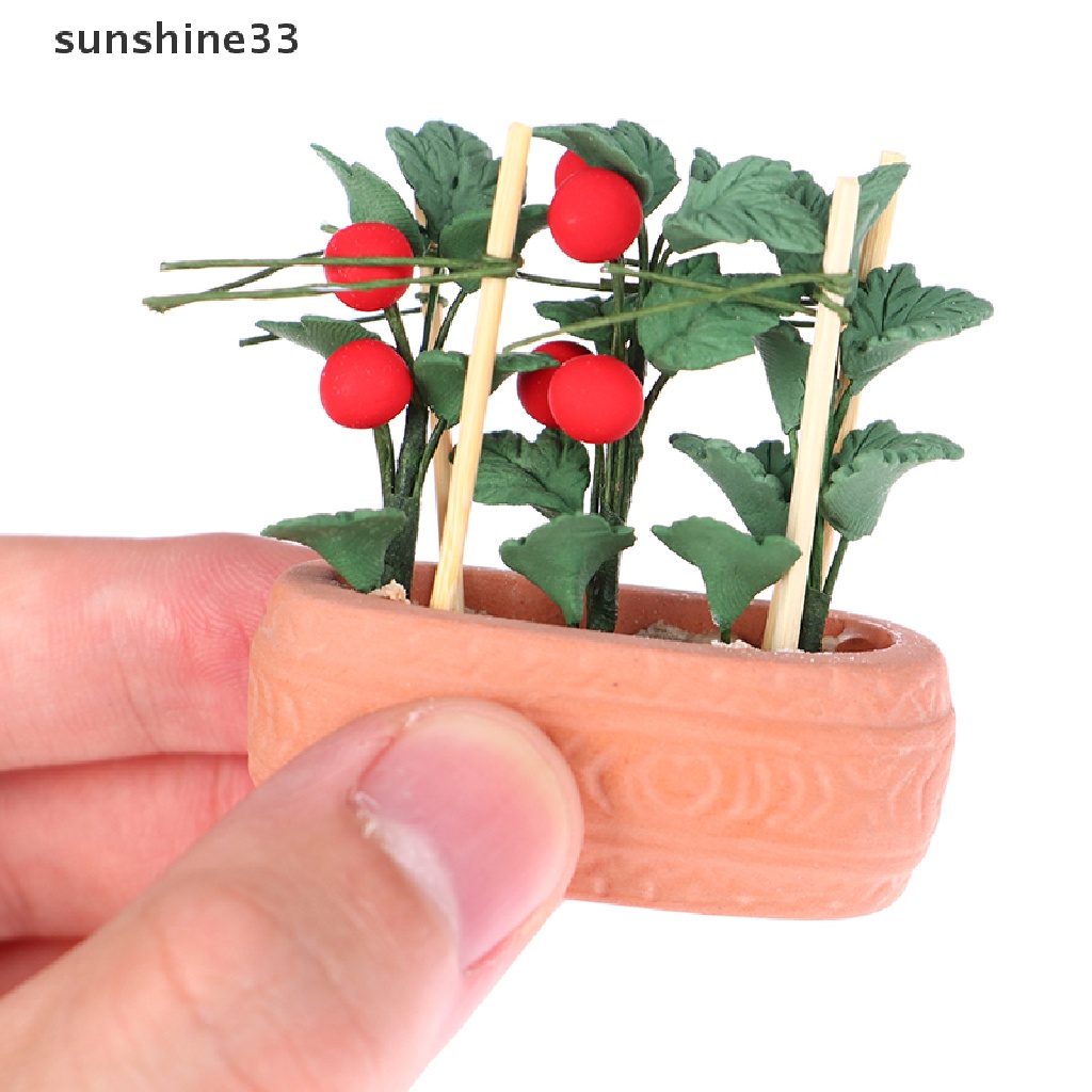 Mô Hình Chậu Cây Cà Chua Mini Tỉ Lệ 1: 12 Trang Trí Nhà Búp Bê