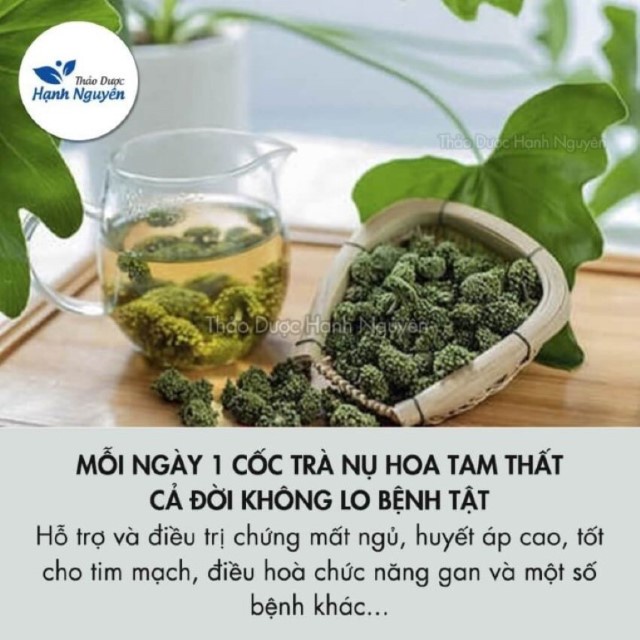Nụ Hoa Tam Thất (Loại xịn không cuống) Hộp 100gram-250garm [Organic]