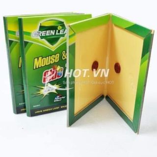 KEO DÍNH CHUỘT SIÊU DÍNH. SET 3 MIẾNG