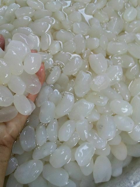 1kg hạt đác tươi | BigBuy360 - bigbuy360.vn