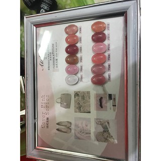 Sơn Gel Thạch Ashini