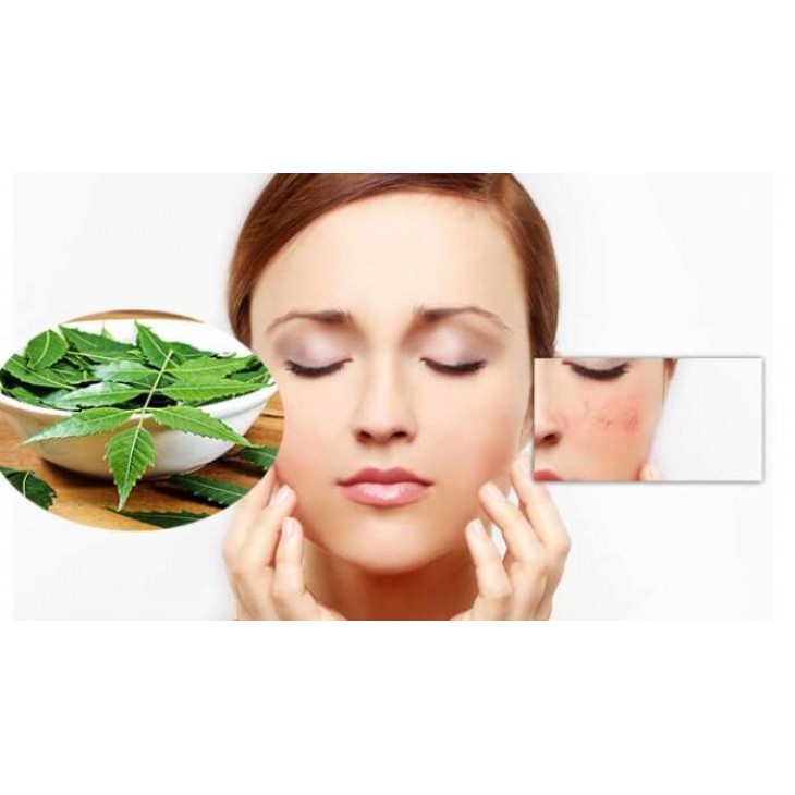 1Kg Bột Lá Neem Nguyên Chất