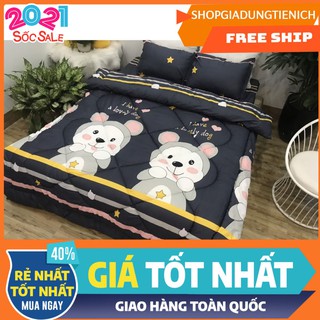 [Chăn phao]Chăn phao siêu nhẹ,chăn đông mẫu 2020,chát chọn mẫu,gấu xám kẻ