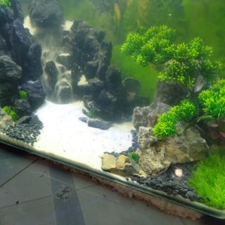 Thác cát hồ thủy sinh