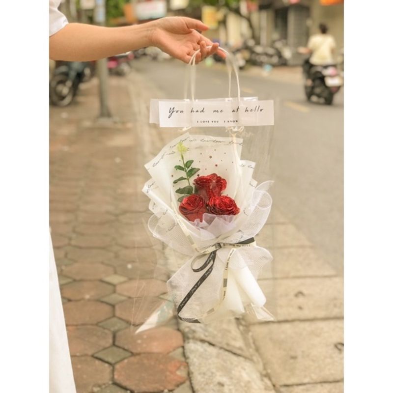 Hoa sáp Hàn Quốc