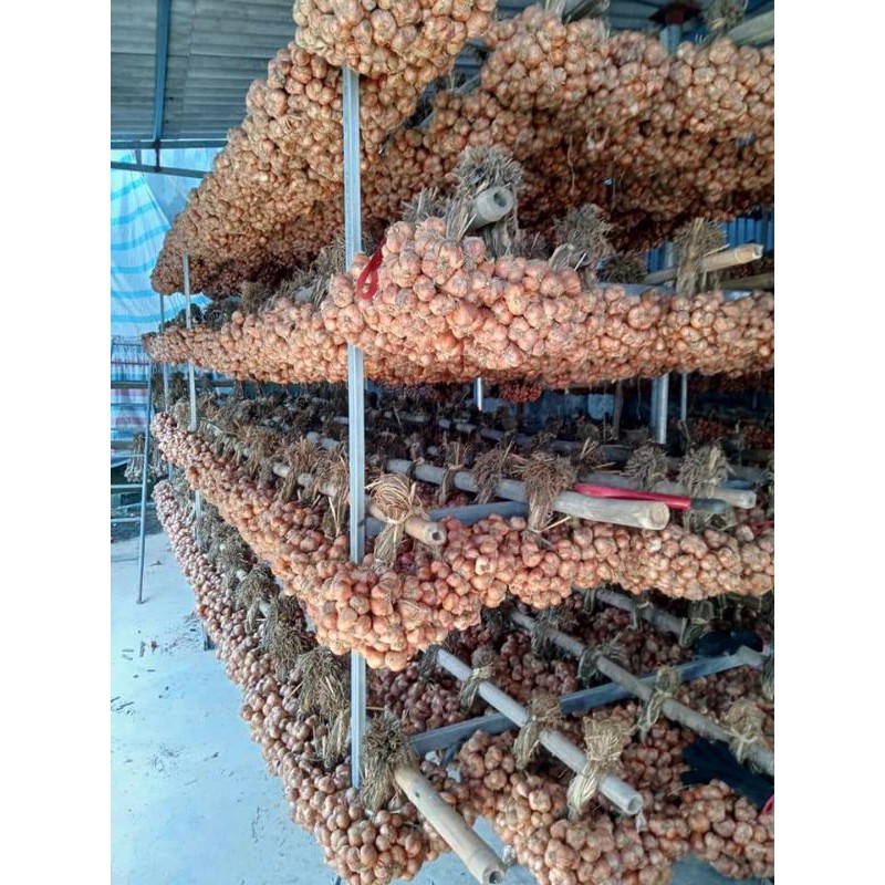 ĐẶC SẢN HÀNH KINH MÔN HẢI DƯƠNG