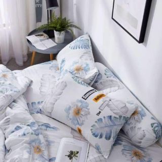Set Đũi chăn hè chần