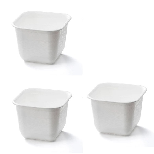 Daiso Chậu Hoa Dạng Đứng Flowerpot Talltype 6 19x15.5.15.5 cm