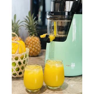 Máy ép chậm Kalite KL-598
