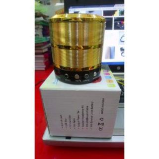 Loa bluetooth ws 887