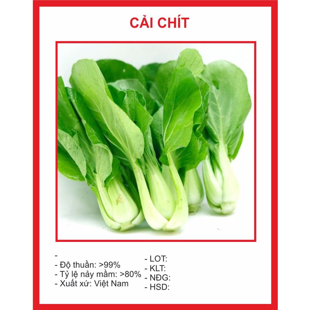 ( BOK GARDEN ) HẠT GIỐNG CẢI CHÍT 20GR
