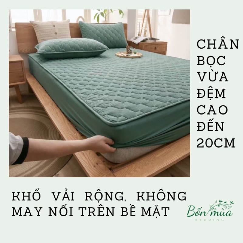 Ga Chống Thấm Cotton 100% Mặt Trần Bông -chống thấm tuyệt đối, êm ái, kích thước 1m6; 1m8; 2m2, vừa đệm cao đến 20cm