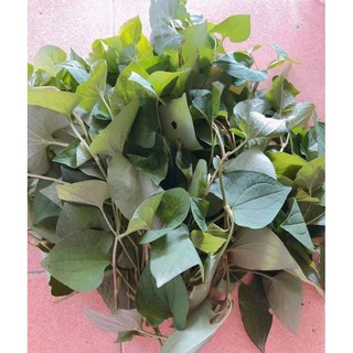 Combo siro sỉ cho khách