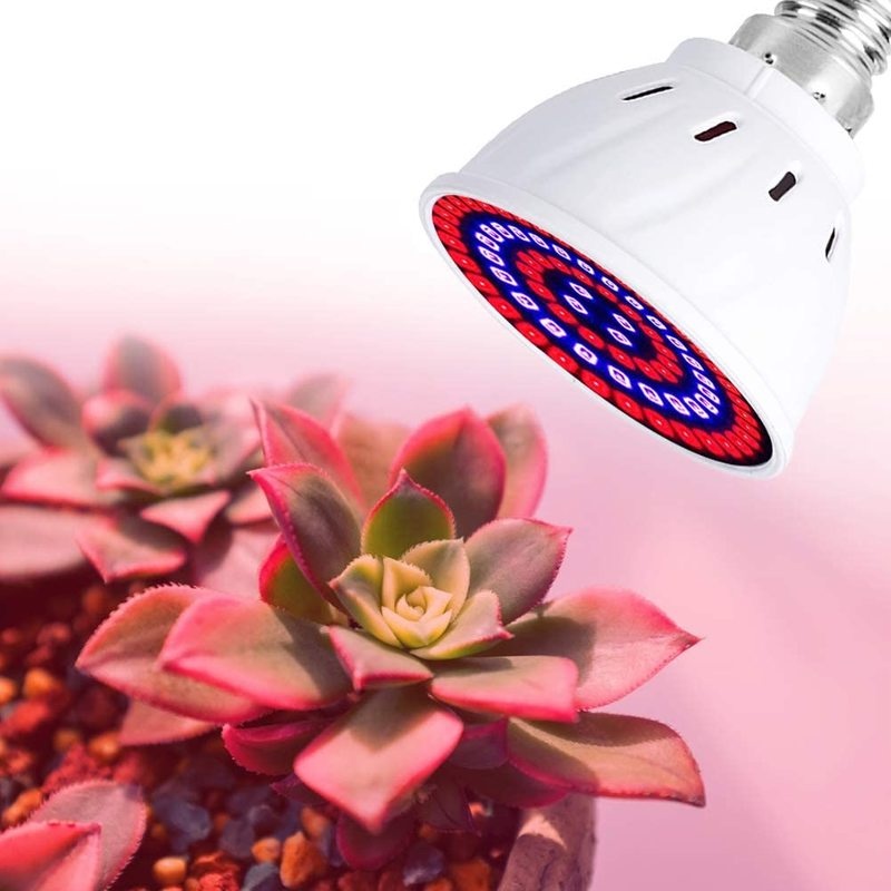 Bóng đèn LED UV kích thích tăng trưởng cây trồng 220V