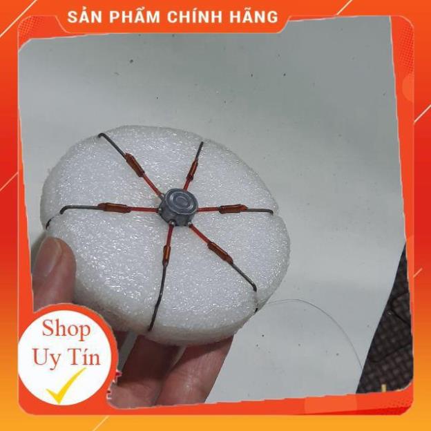 🐠 Lưỡi lục siêu nhậy 🐠