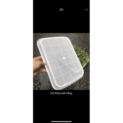 🔥⚡️ FREESHIP 💥 Khay trồng rau mầm cao cấp hàng công ty loại 1