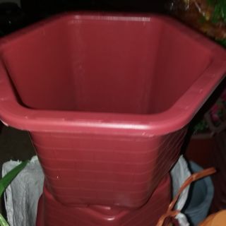 10 cái chậu lục  giác đẹp 30×20cm