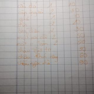Combo sen đá và chậu