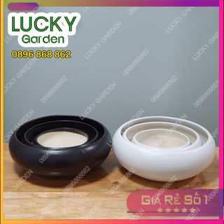 Chậu Sứ Ang Thấp Trồng Cây Cảnh Để Bàn, Sen Đá, Xương Rồng - Chậu Gốm Sứ Bát Tràng