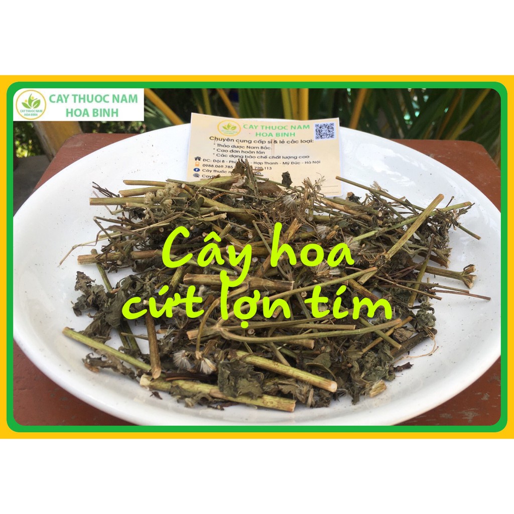 1kg cây hoa cứt lợn hoa tím/thân tím, cỏ hôi