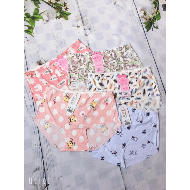 [CAO CẤP] ComBo 5 Quần Lót Nữ | BigBuy360 - bigbuy360.vn