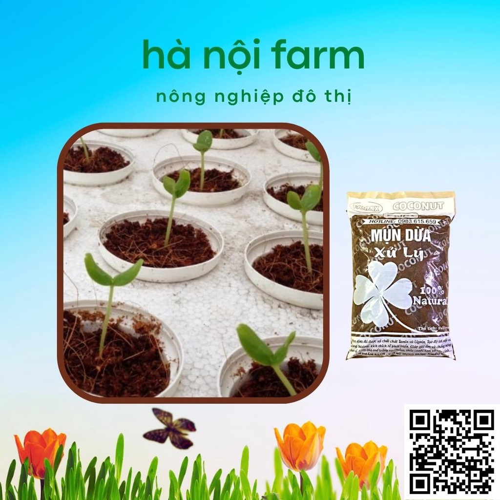 Mùn Dừa, Xơ Dừa Đã Qua Xử Lý - Túi 10lit . Trồng Rau Sạch, ươm hạt