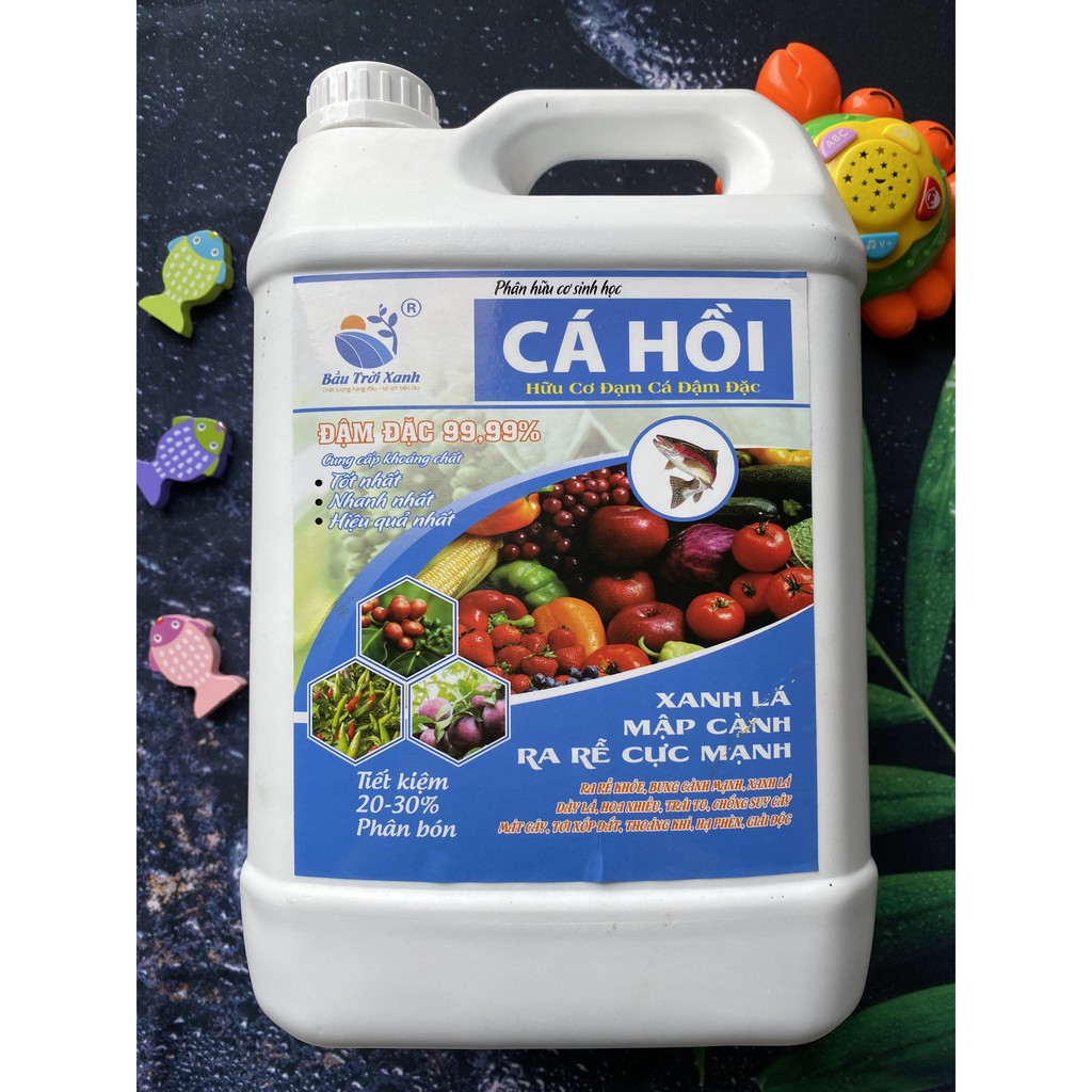 ĐẠM CÁ HỒI HUMIC HỮU CƠ⚡️CAN TO GIÁ RẺ - HÀNG CHÍNH HÃNG ⚡️NHÚ ĐỌT, RA RỄ, MÃ ĐẸP, TO TRÁI, NGỌT TRÁI