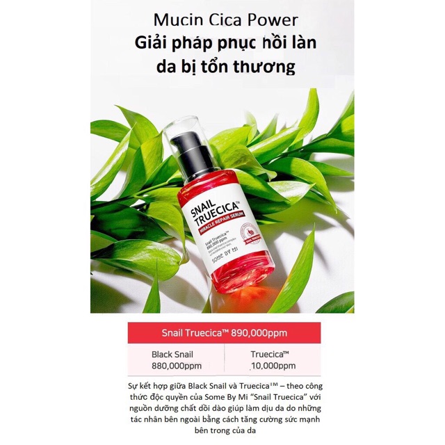 [Chính Hãng] Combo Serum + Sữa Rửa Mặt Ốc Sên Some By Mi Snail Truecica Fullsize