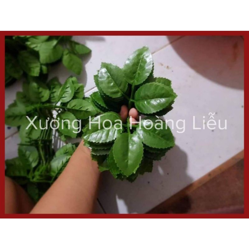 Lá hoa hồng gân, lá hồng 6 nhánh, lá hoa cúc giả