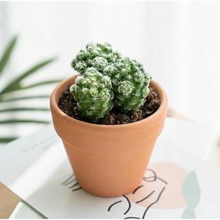 Chậu Đất Nung size 9x7cm láng mịn cực xinh