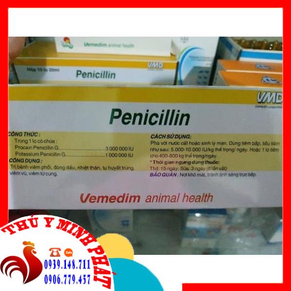 PENICILLIN 4M Pi 4 triệu