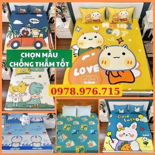 [CHỌN MẪU] Ga chống thấm cotton cao cấp Hàn Quốc, ga trải giường chống thấm không nóng, không bí, thoáng mát