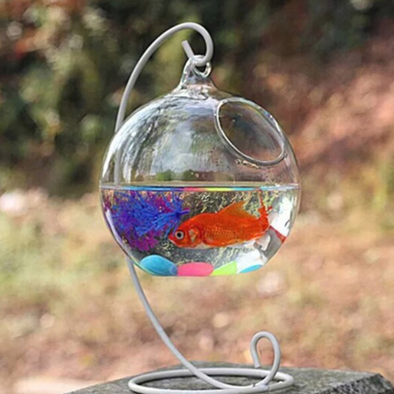 Giá Treo Chậu Hoa Bằng Sắt kiểu cong đẹp mắt