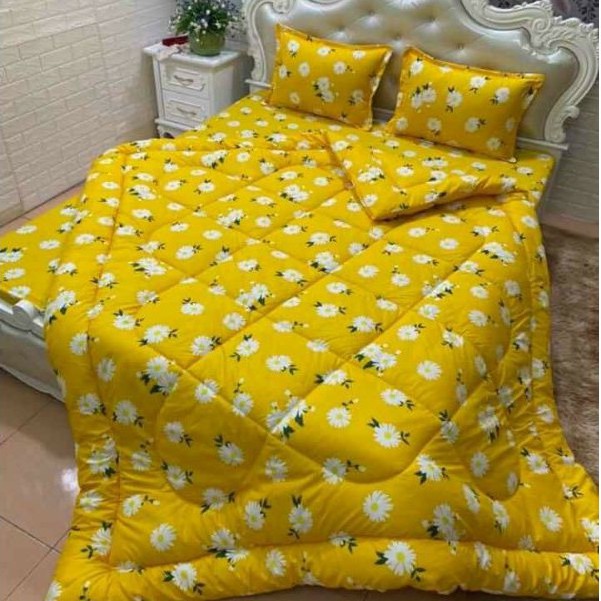 Trọn bộ chăn ga gối 5 món chăn trần bông(chát chọn mẫu)