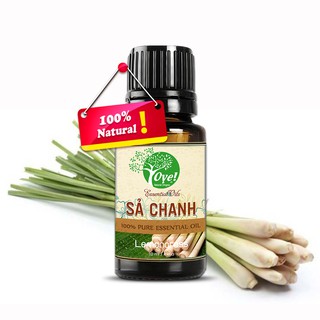 Tinh Dầu Sả Chanh Ấn Độ - OYe 10ml