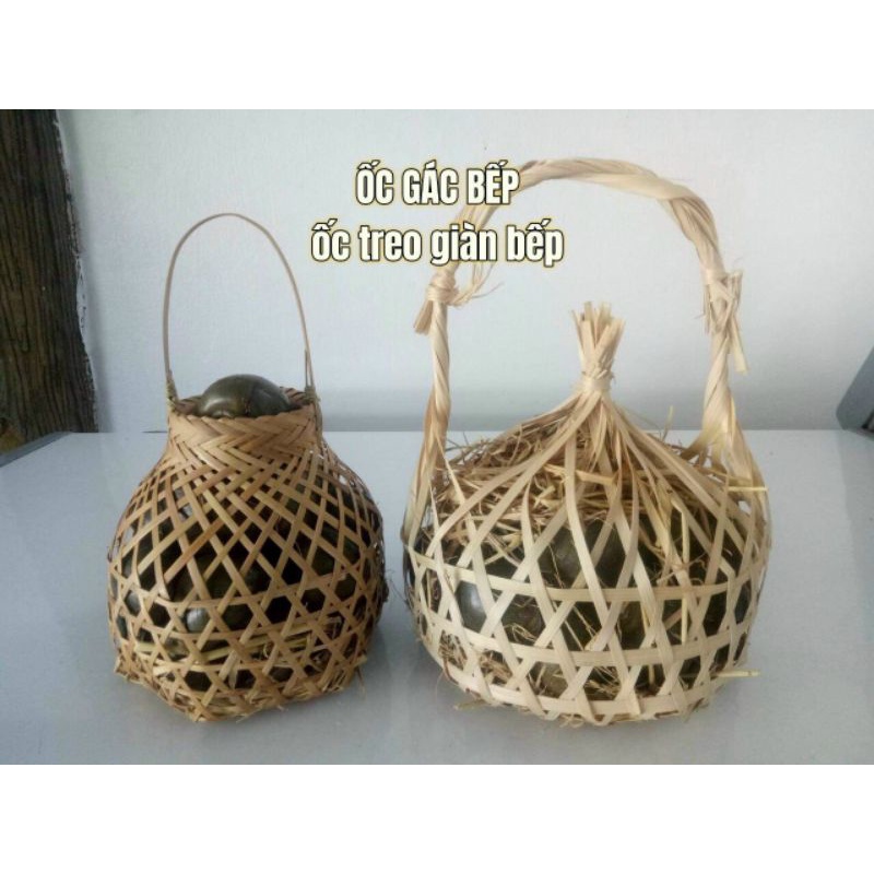 ỐC GÁC BẾP  1kg