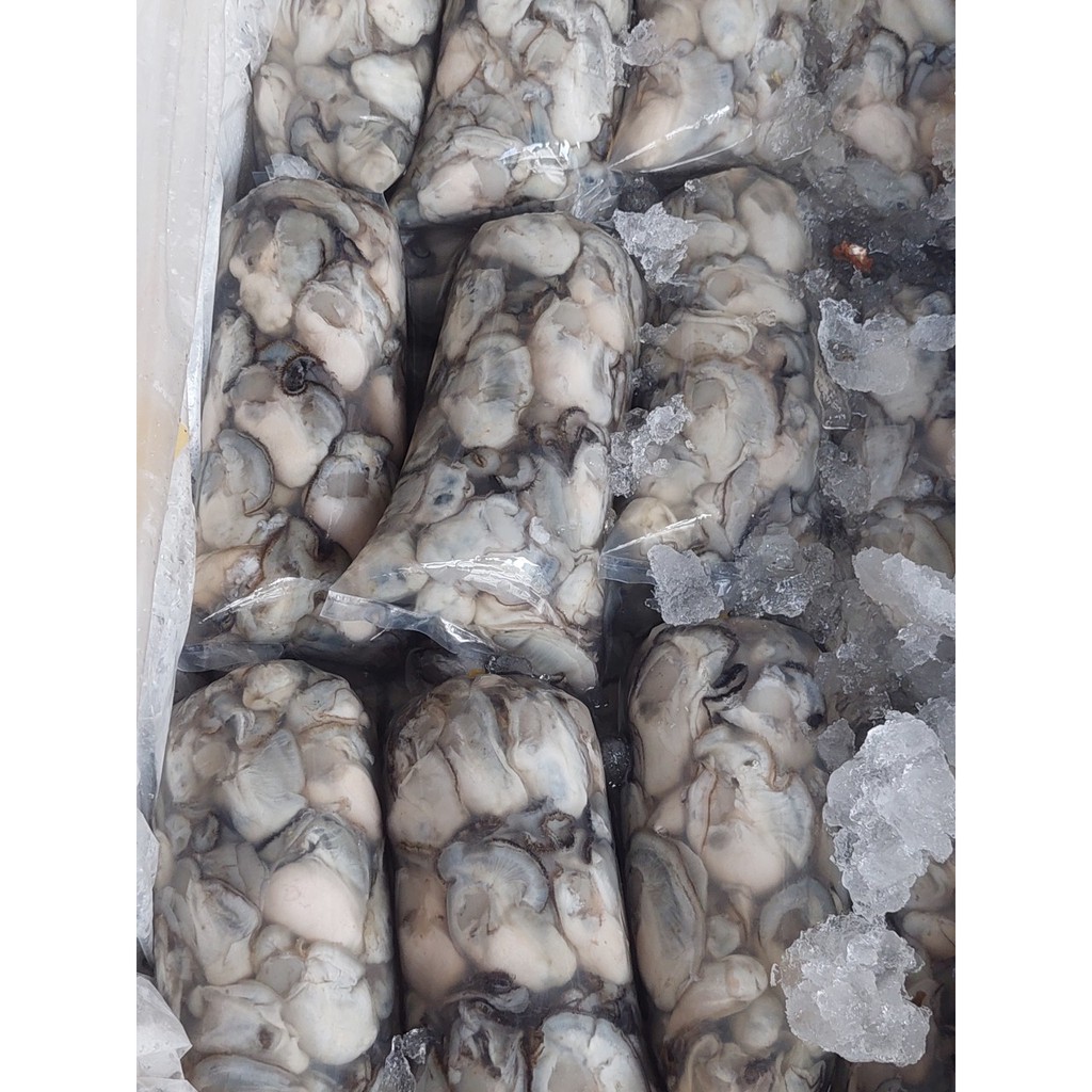 1KG 2 bịch Hào sữa hàng mới 100% như hình!! [Grab + Now Ship] | BigBuy360 - bigbuy360.vn
