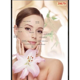 Tranh 3D dán kính 2 mặt quán spa