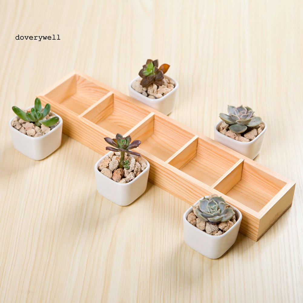 Hộp đựng chậu cây cảnh bằng gỗ nhiều ngăn