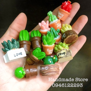 Cây xương rồng mini - Mô hình tỷ lệ 1:12
