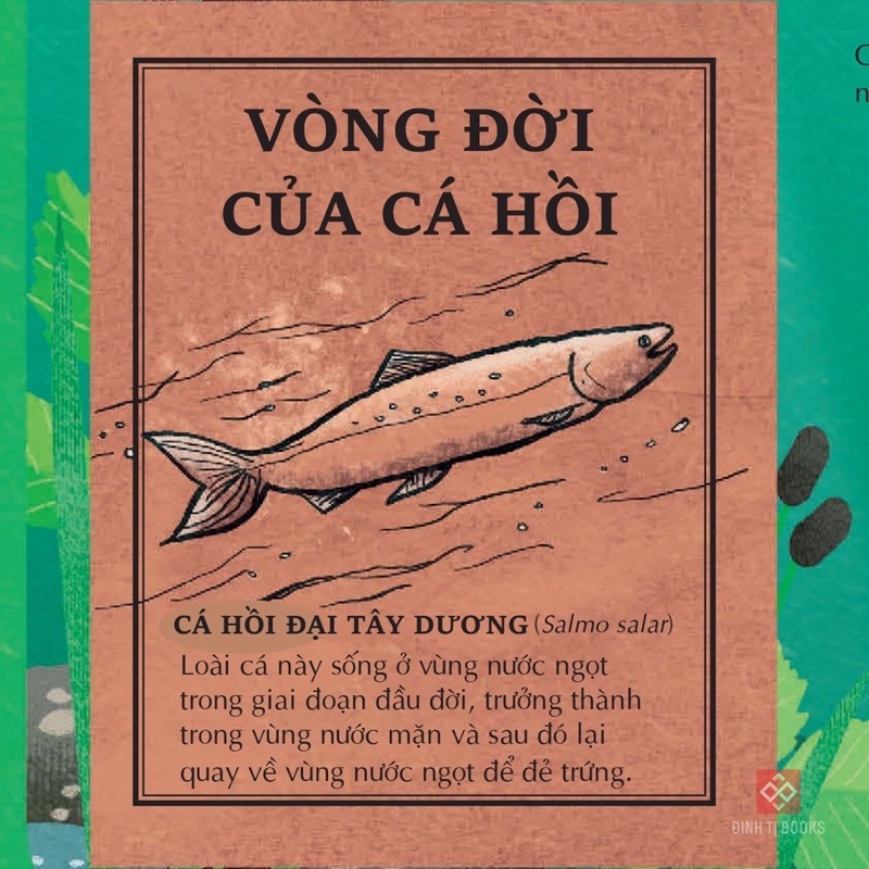 Sách Đinh Tị - Atlas Đa Tương Tác Về Động Vật Hoang Dã