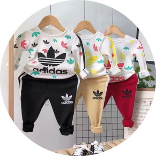 combo bộ das 2020 size 7÷20kg