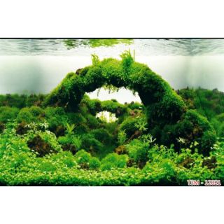 Tranh dán hồ cá - tranh dán bể cá