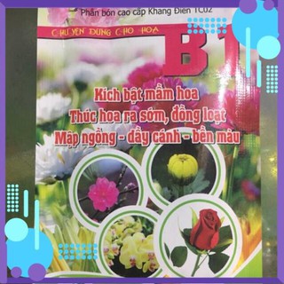 Phân bón chuyên dùng cho hoa hồng, cúc, hoa cảnh _ B1 - Sai hoa, màu đẹp .