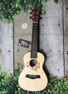 Đàn Ukulele Concert MTB-800 CB1