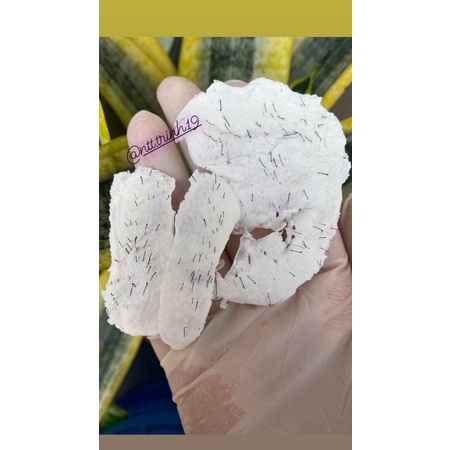 SÁP WAX PREMIER CAO CẤP | BigBuy360 - bigbuy360.vn