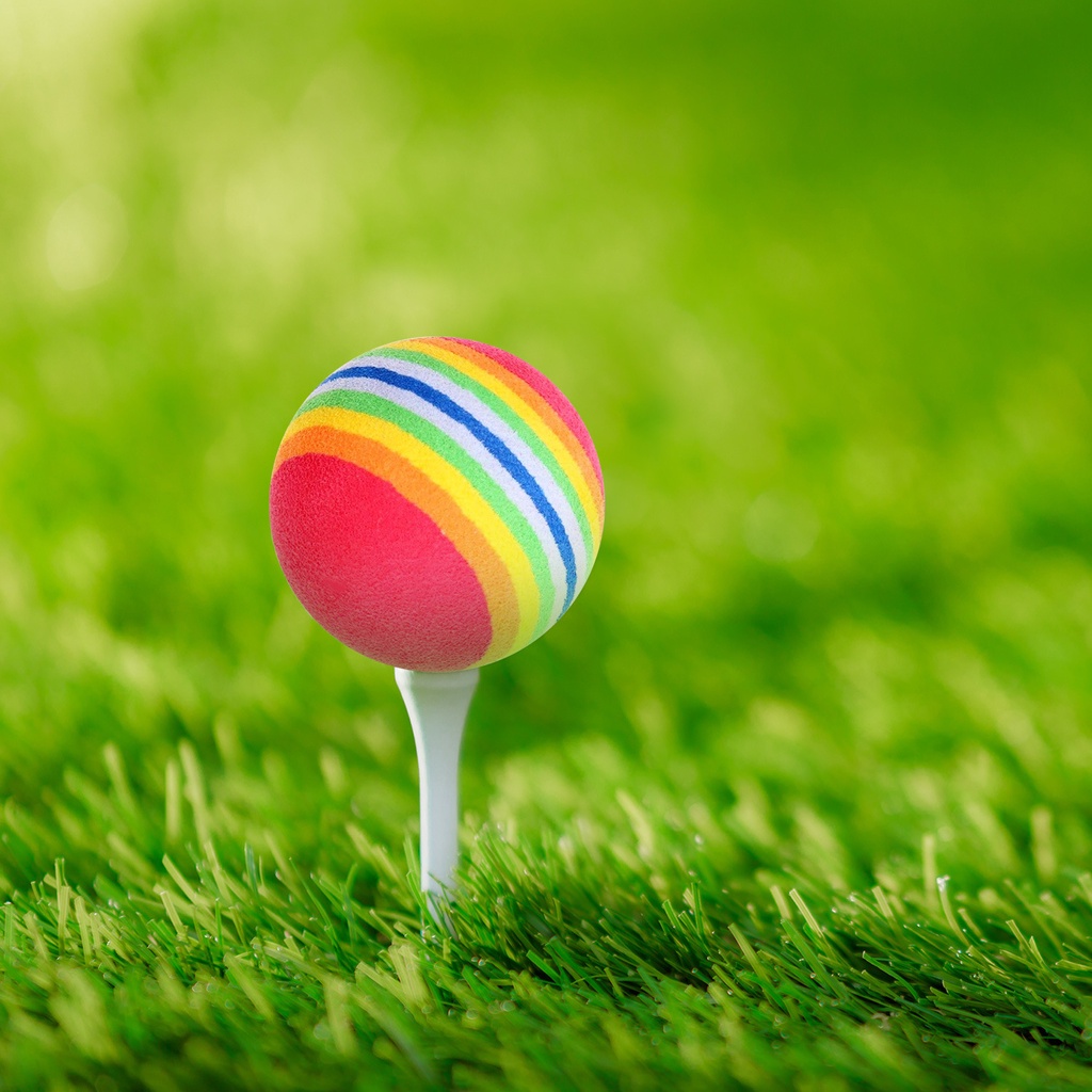 Bóng golf xốp đàn hồi tập chơi tại nhà ngoài trời 10 quả BL008