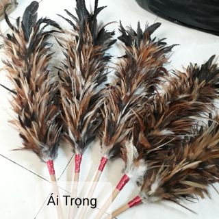 Chổi Lông Gà Giá Rẻ