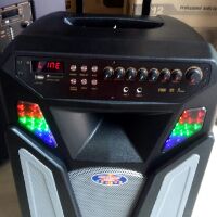 LOA 4 TẤC RONAMAX L15A