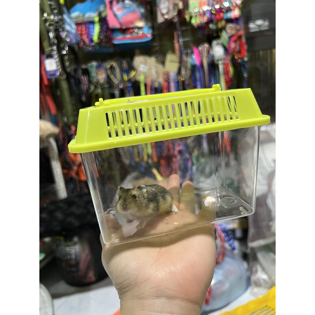 Hộp mica vận chuyển hamster ⚡CHỈ 1 NGÀY⚡hộp đựng thú cưng nhỏ - GIAO MÀU NGẪU NHIÊN - PET&amp;JOI